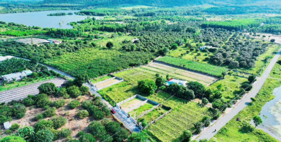 ĐẦU NĂM HOAN HỈ. BÁN NHANH LÔ ĐẤT NGHĨ DƯỠNG BIỂN PHƯỚC HẢI