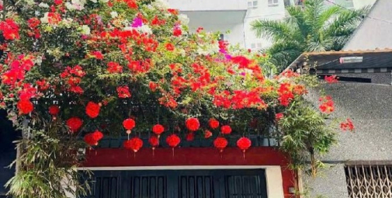 Nhà 4 tầng Tô Hiệu, đường nhựa 12m, 72m2, 4x18, gần Đầm Sen, Ở + KD, Chỉ 10.8 tỷ