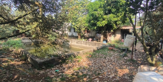 ĐẤT VƯỜN RI6 FULL HỒNG, GẦN KHU CÔNG NGHIỆP, SÂN BAY