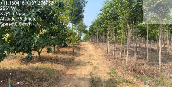 Bán 2 miếng đất diện tích 11141m2 và diện tích 8016m2 nằm sát nhau