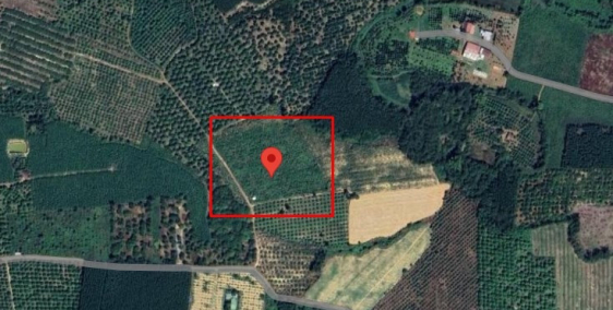 Bán đất 13429,7m2 xã Phú Ngọc Định Quán Đồng Nai