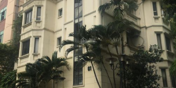 77 tỷ cho siêu biệt thự 20 x 20, sát sông View LM81, bến thuyền Nguyễn Văn Hưởng,Thảo Điền